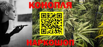 Альфа ПВП Бийск