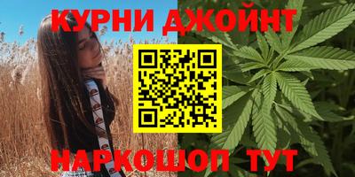 Альфа ПВП Бийск
