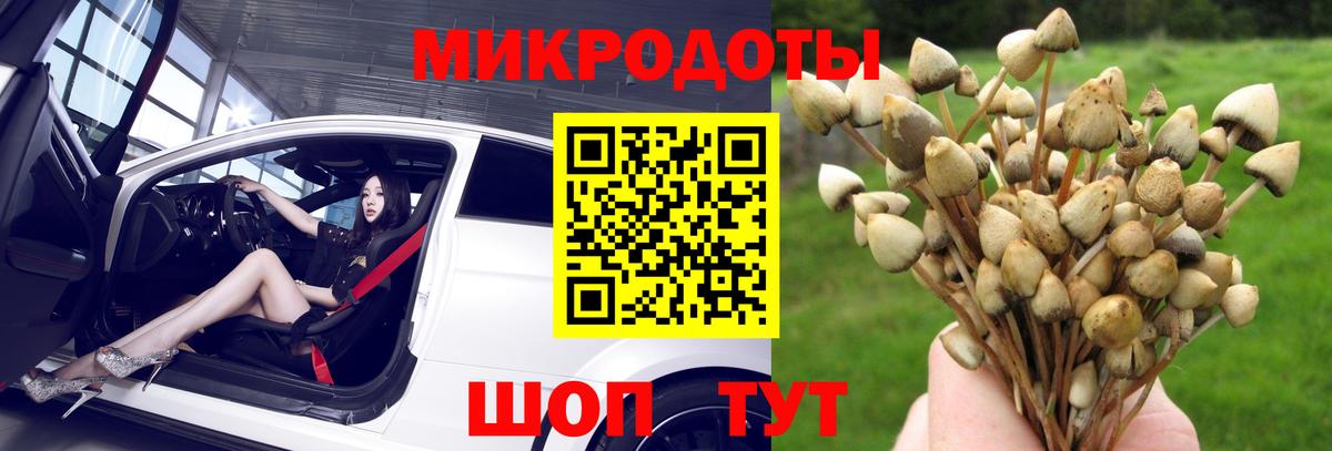 Апшеронск  Галлюциногенные грибы мицелий  Вход с VPN 